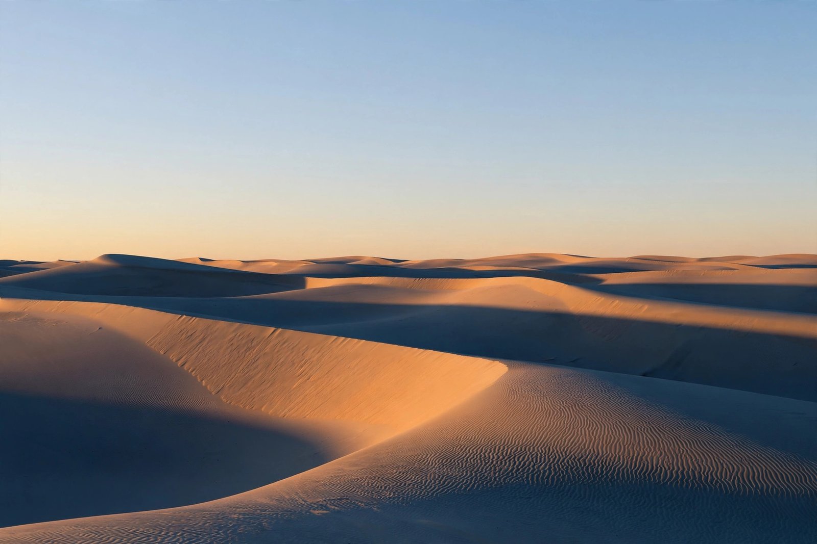  "Rippled sand dunes glowing warm orange under golden hour light"